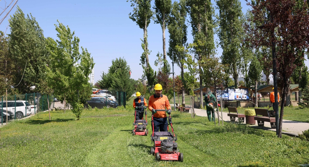 Çankaya Belediyesi yeşil bir Çankaya için parklarda bakım yapıyor 