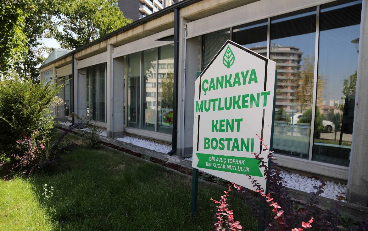 Çankaya Belediyesi’nin kent bostanlarında hasat zamanı
