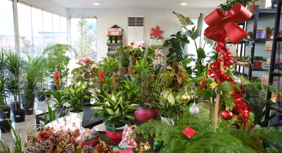 Yeni yılın renkleri ABB Bitki Evlerinde vatandaşlarla buluşuyor 